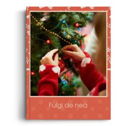 albume foto de nunta